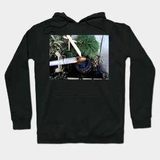 Photo of Deer Scarer in a Japanese Garden Hoodie